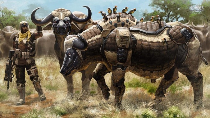 如何评价Cursor？